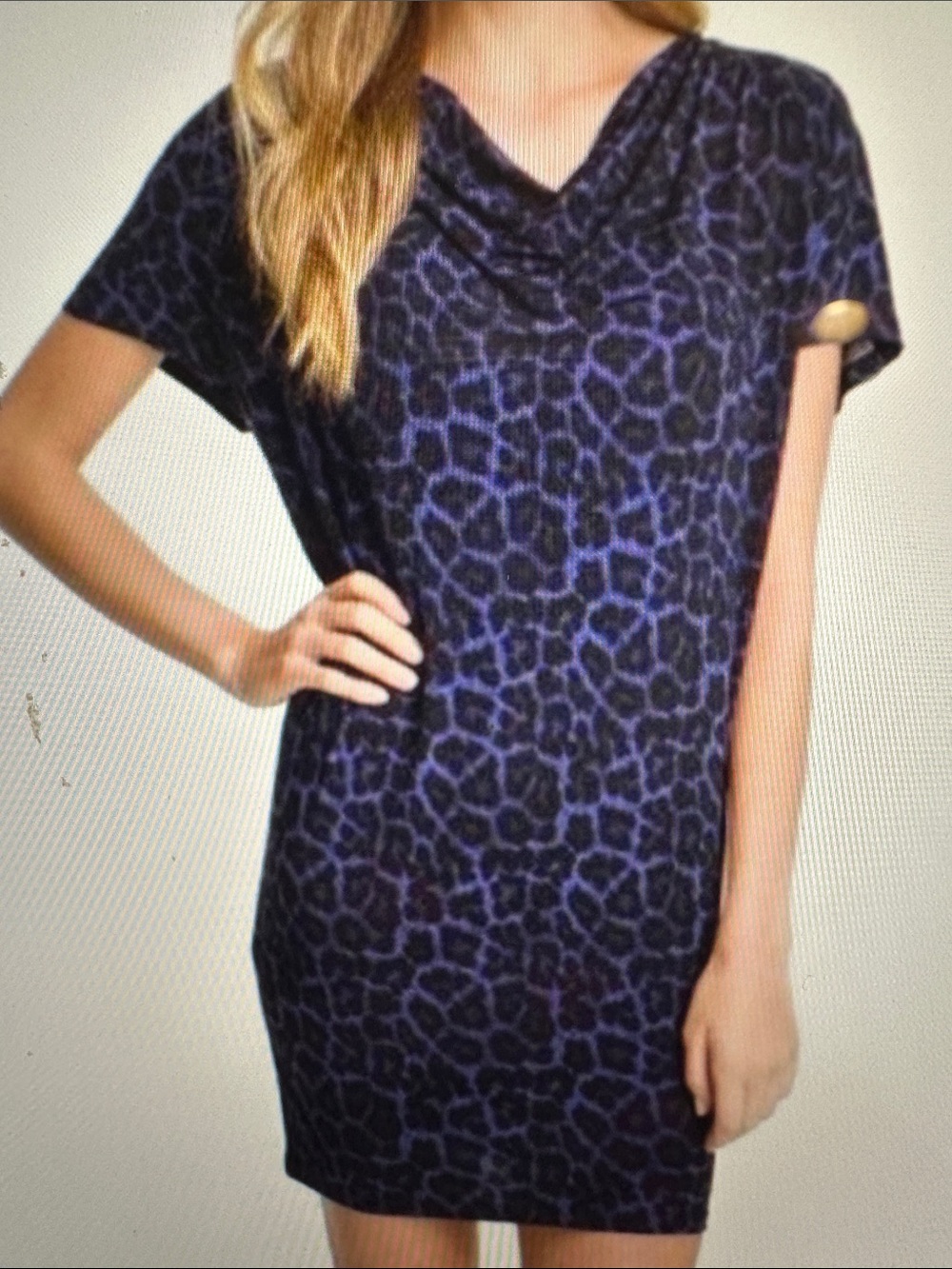 Women’s Blue Leopard Print Draped Neck Dress